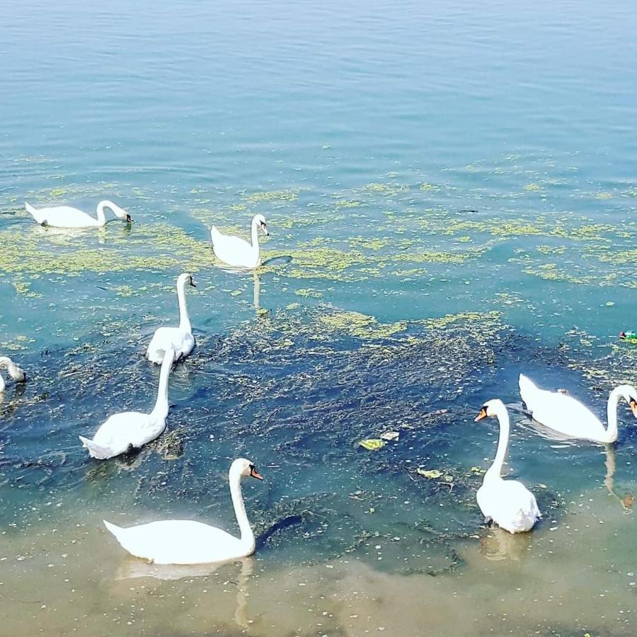 San Na Vodi Villa Smederevo Esterno foto