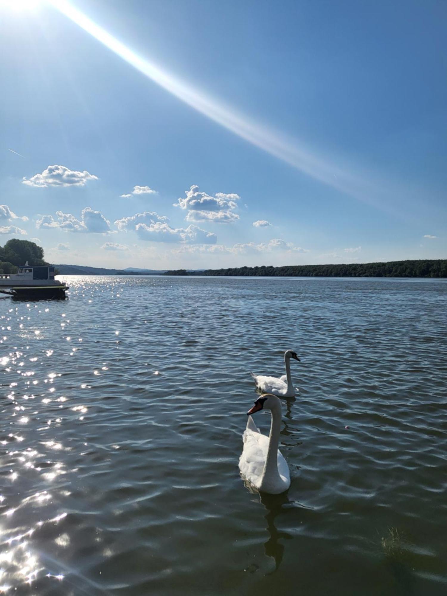 San Na Vodi Villa Smederevo Esterno foto